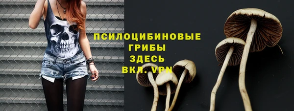 метадон Алексин