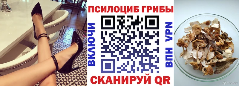 Псилоцибиновые грибы мицелий Котлас